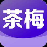 茶梅小说