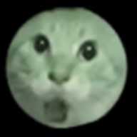 圆头猫大作战