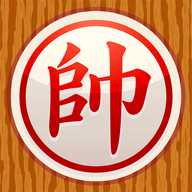 棋艺人生