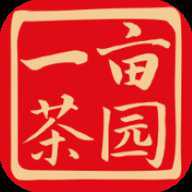 一亩茶园