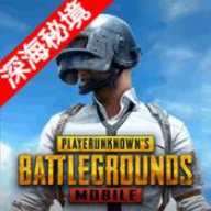 PUPG国际服手游