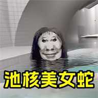 池核模拟器