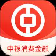 中银金融借款