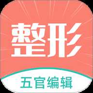 整形模拟