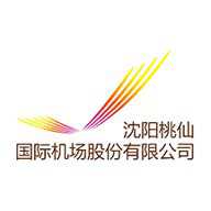 沈阳桃仙掌上机场