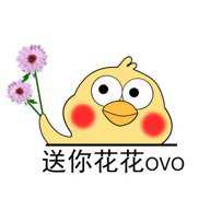 BT快搜