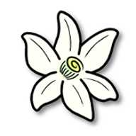 橙花模拟器