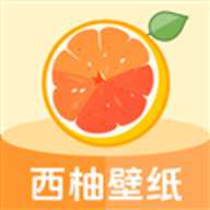 西柚壁纸