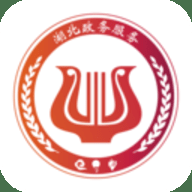 武汉社保个人查询app