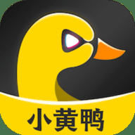 小黄鸭