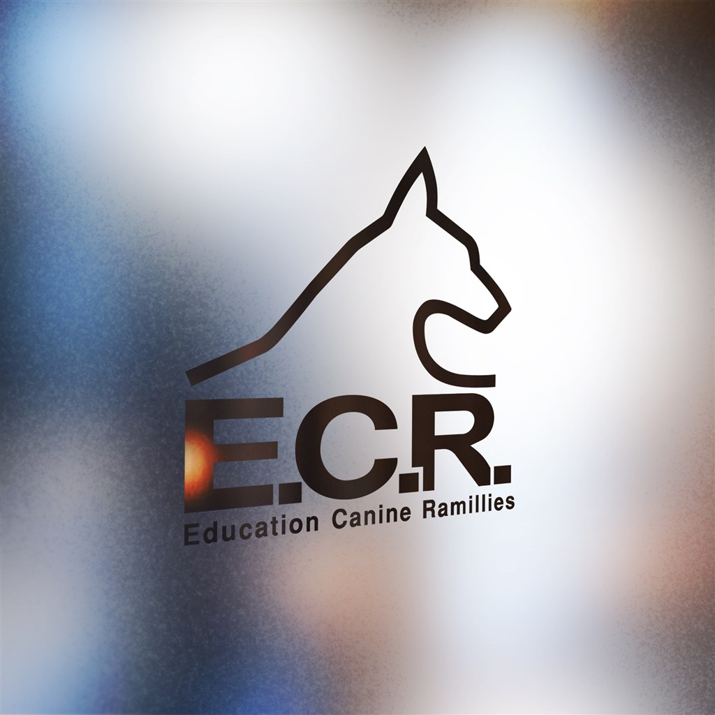 logo素材贴图模版