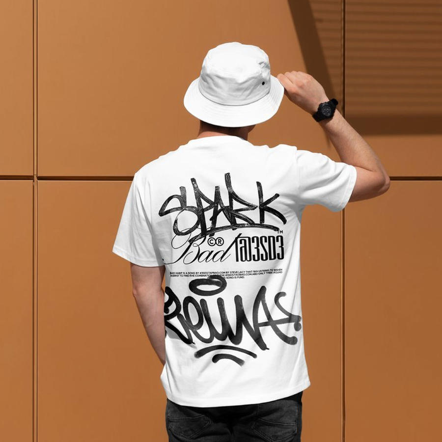 街头服装品牌vi样机