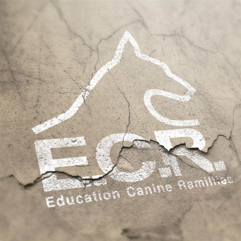 墙面裂纹肌理logo样机