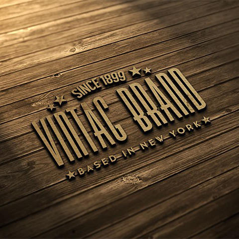 高档企业LOGO样机