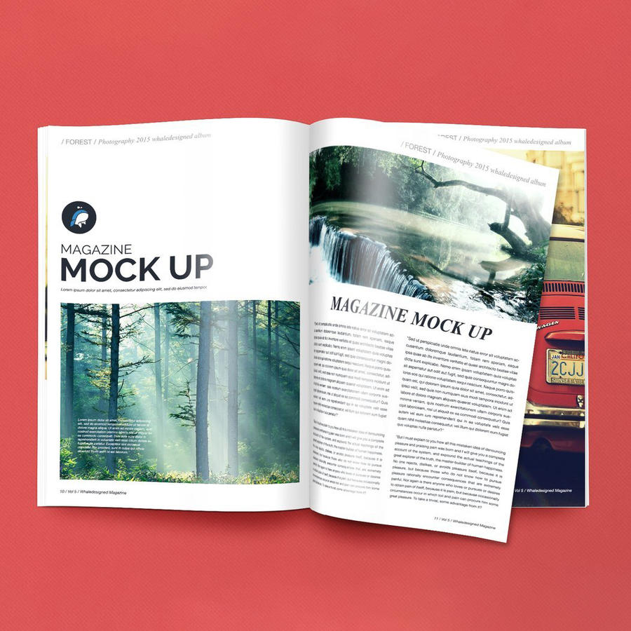 精装硬壳书本书籍样机 (28)