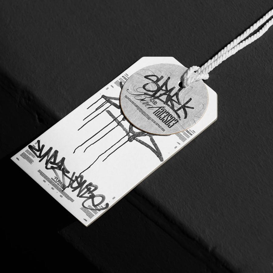 街头服装品牌vi样机