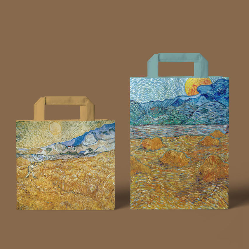 美术艺术展览馆手提袋环保袋纸袋样机