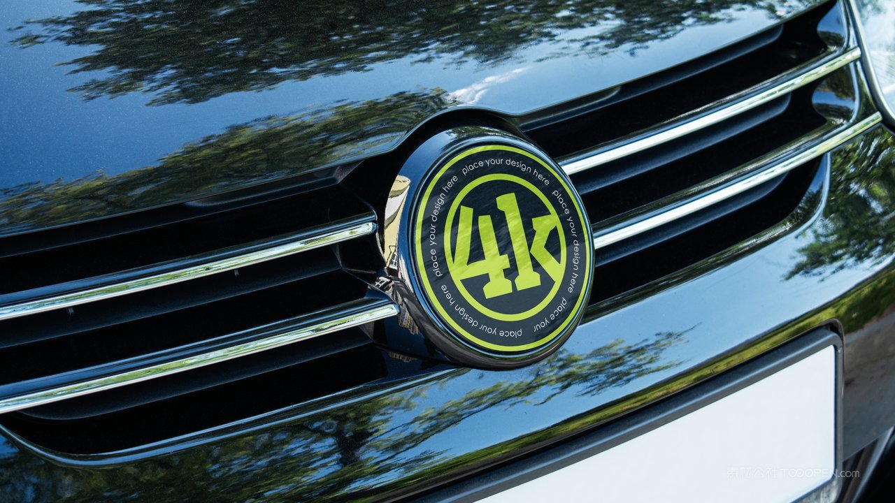 前格栅汽车标志样机