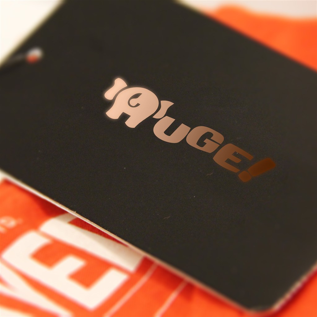 高档烫金小象logo样机