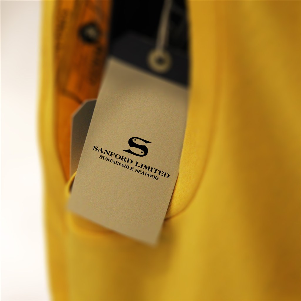 黄色口袋里的吊牌logo样机