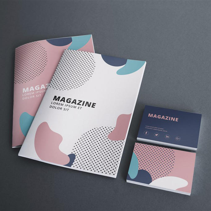 宣传册书籍杂志展示效果画册样机