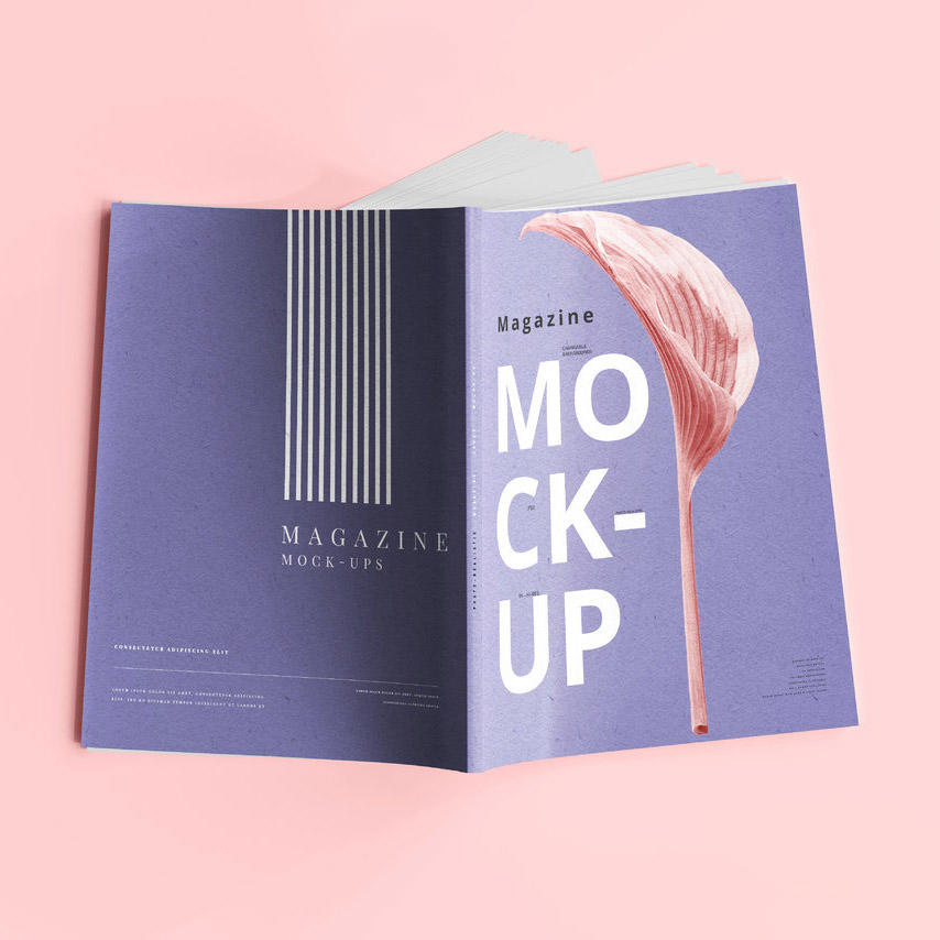 a4杂志宣传画册样机