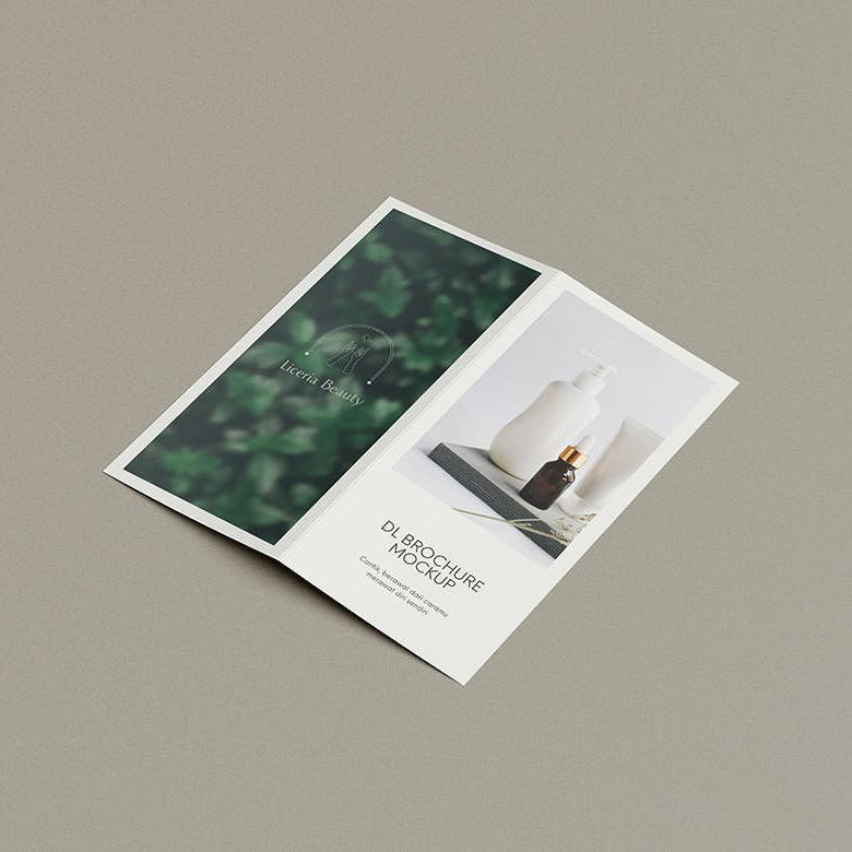 双折页dl传单样机