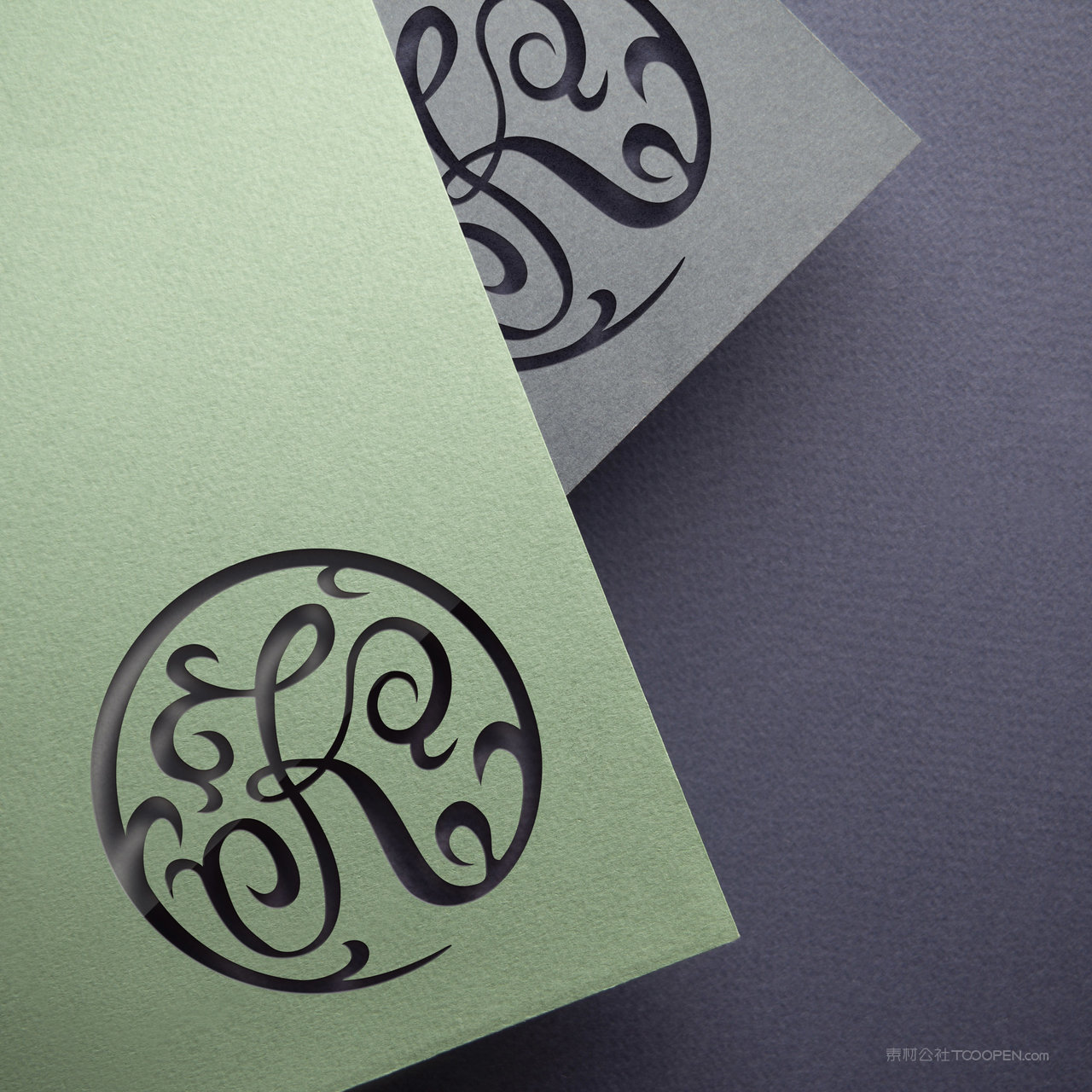 镂空标志图标矢量logo贴图样机