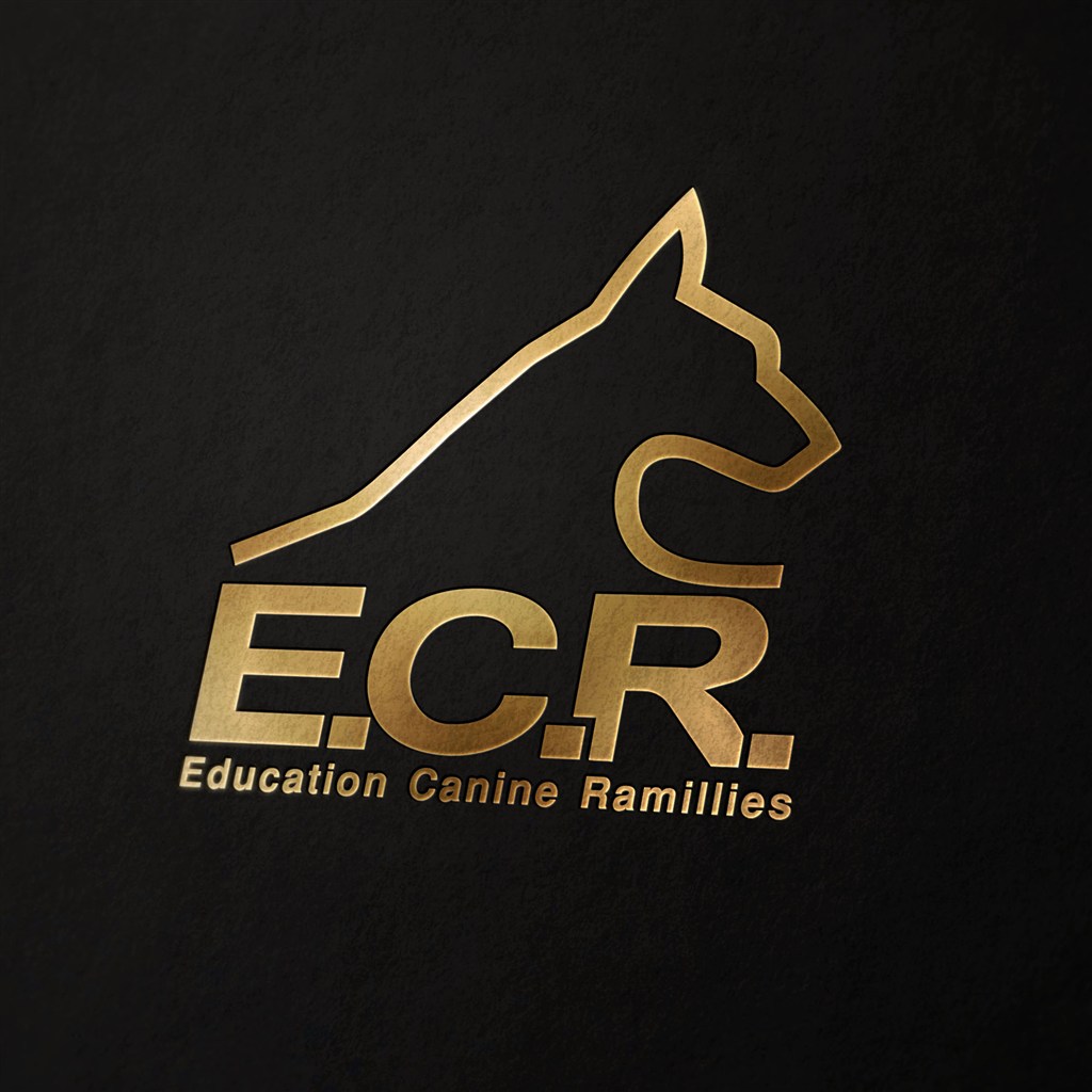 logo素材贴图模版