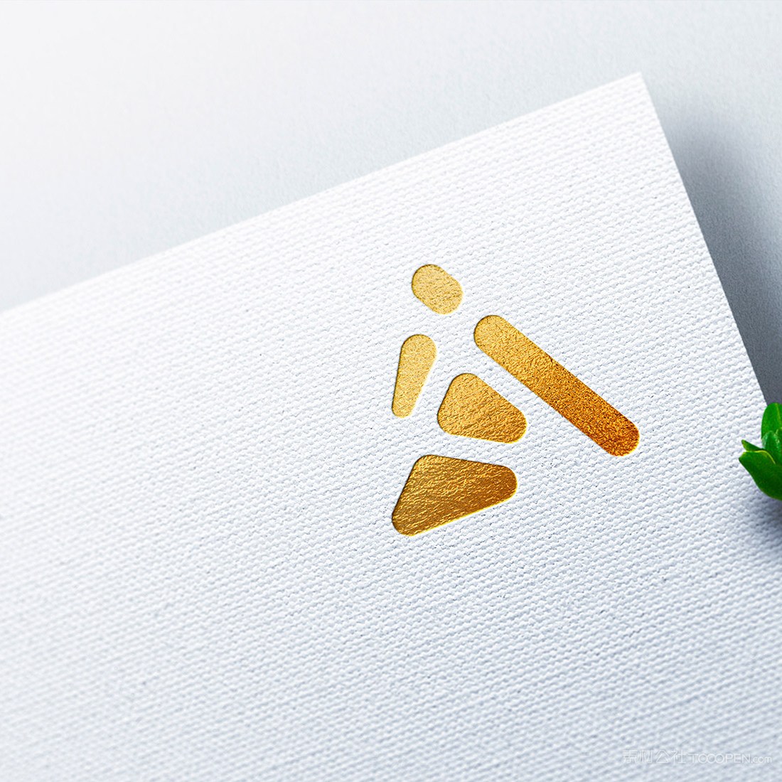 烫金logo样机