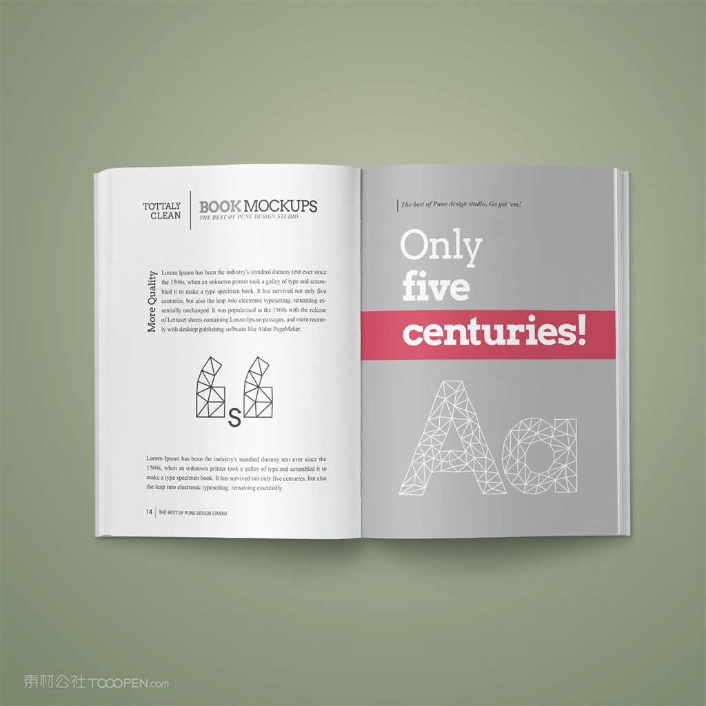 画册内页贴图样机