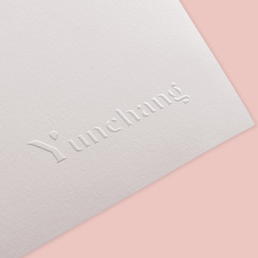 女性服装品牌VI标志贴图样机