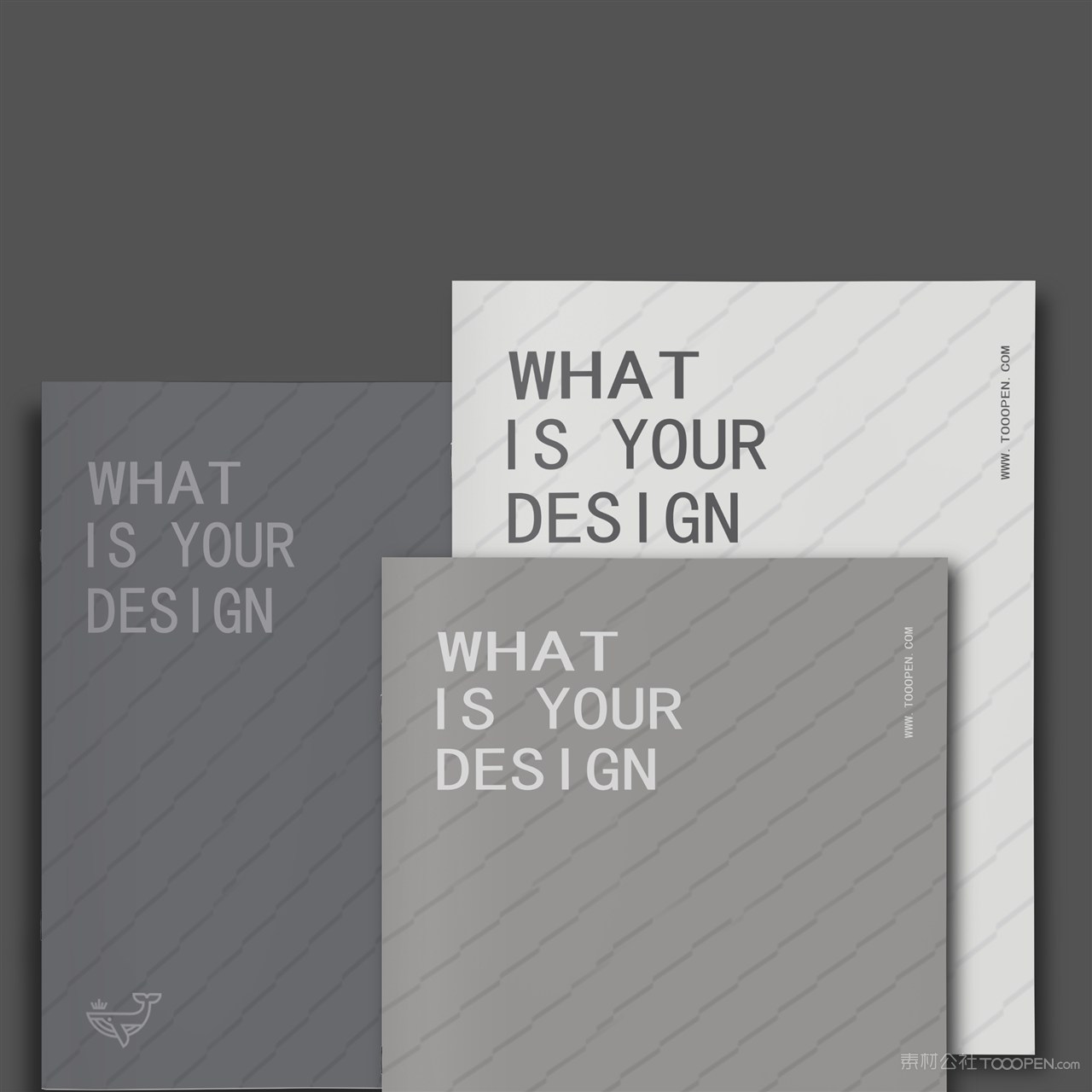 服装品牌VI产品画册样机