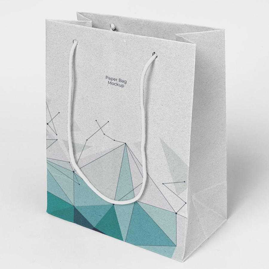 纸袋手提袋样机