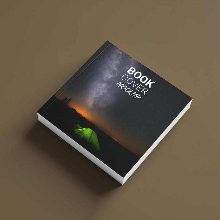 精装书画册样机