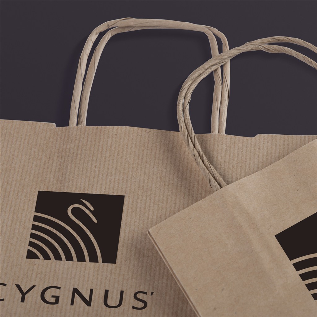 手提袋logo贴图样机