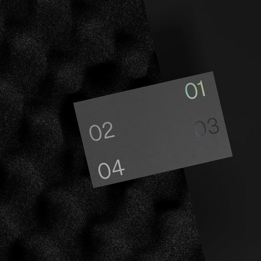 商务黑冷淡风小众艺术样机