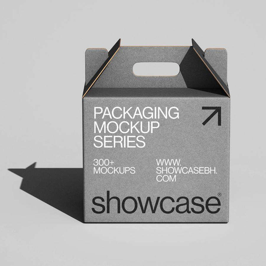 高逼格手提式包装纸盒设计展示样机