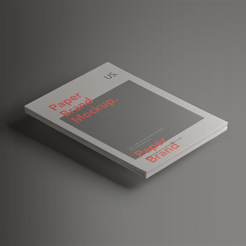 纸品牌样机素材