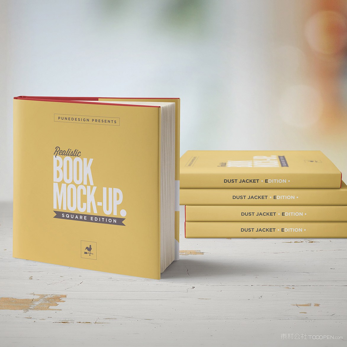 正方形书本画册装帧设计贴图样机