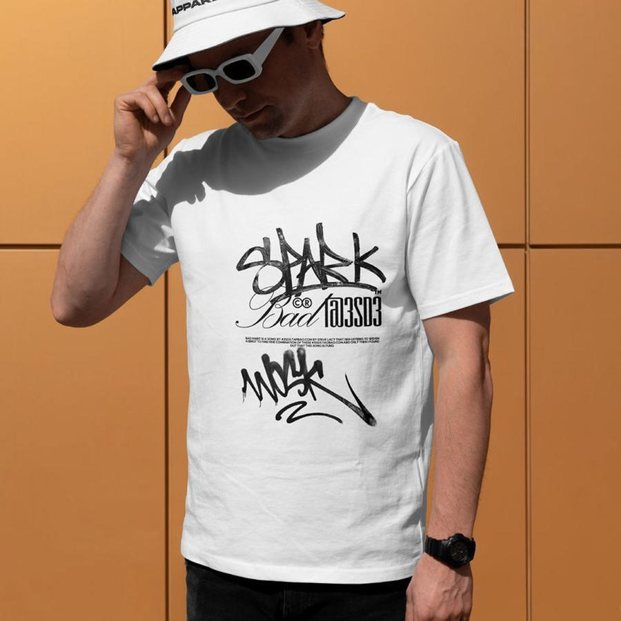 街头服装品牌vi样机