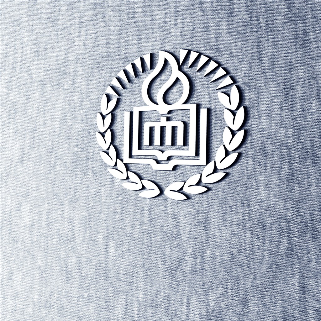 立体金属银标志样机