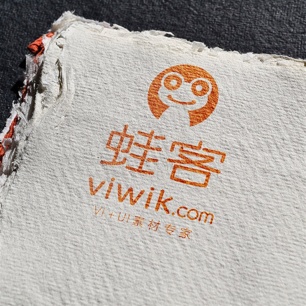 质感纹理logo样机