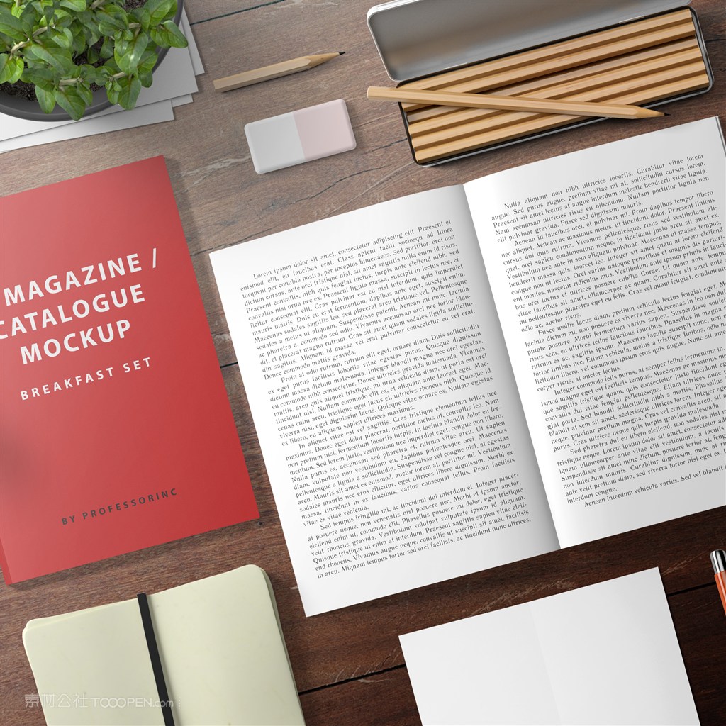 产品画册目录和内页贴图样机