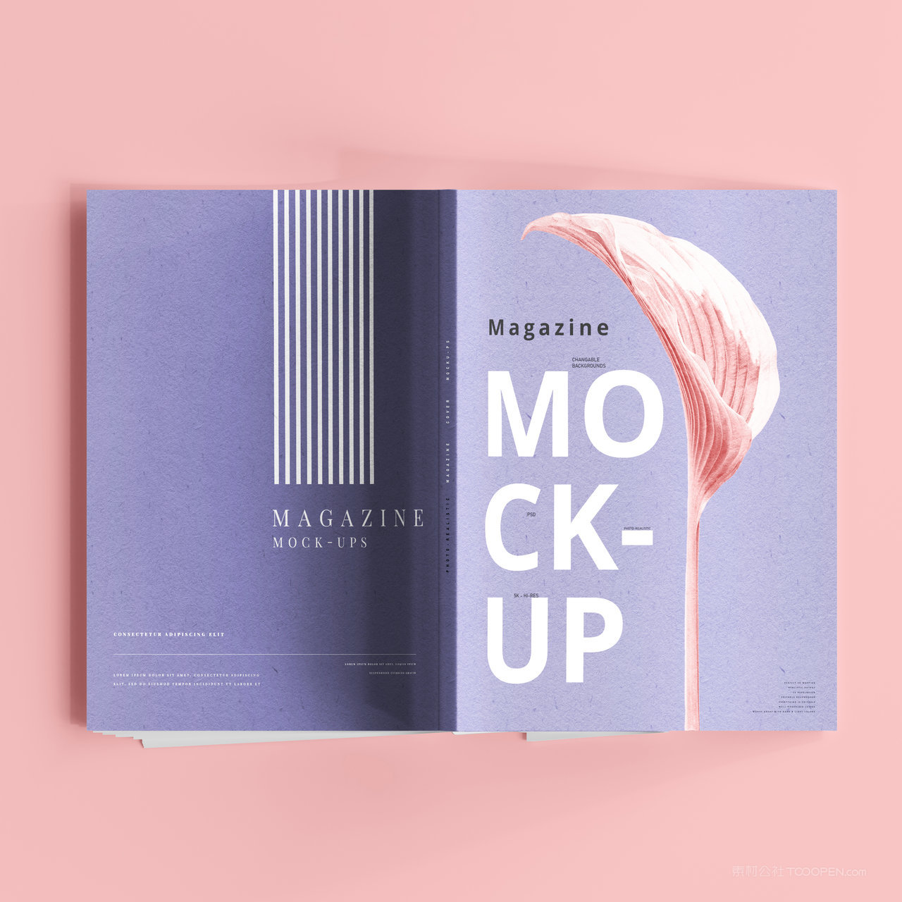 画册书籍正反面贴图样机