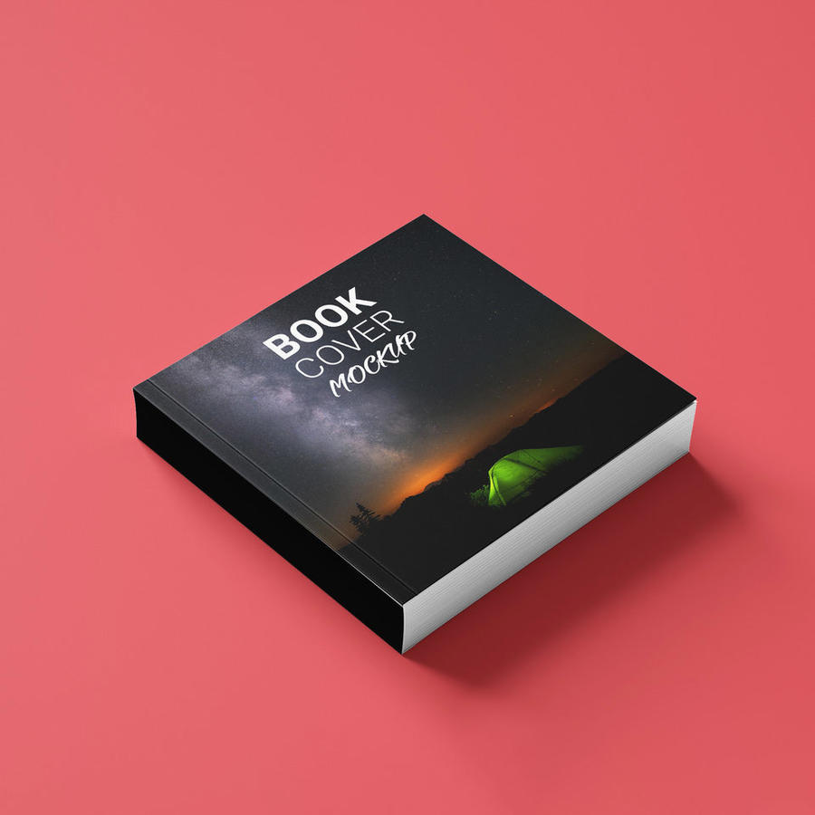 精装书画册样机