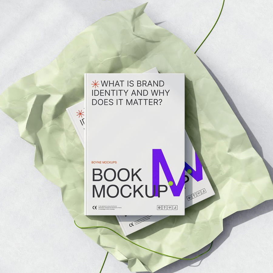 品牌vi包装盒样机