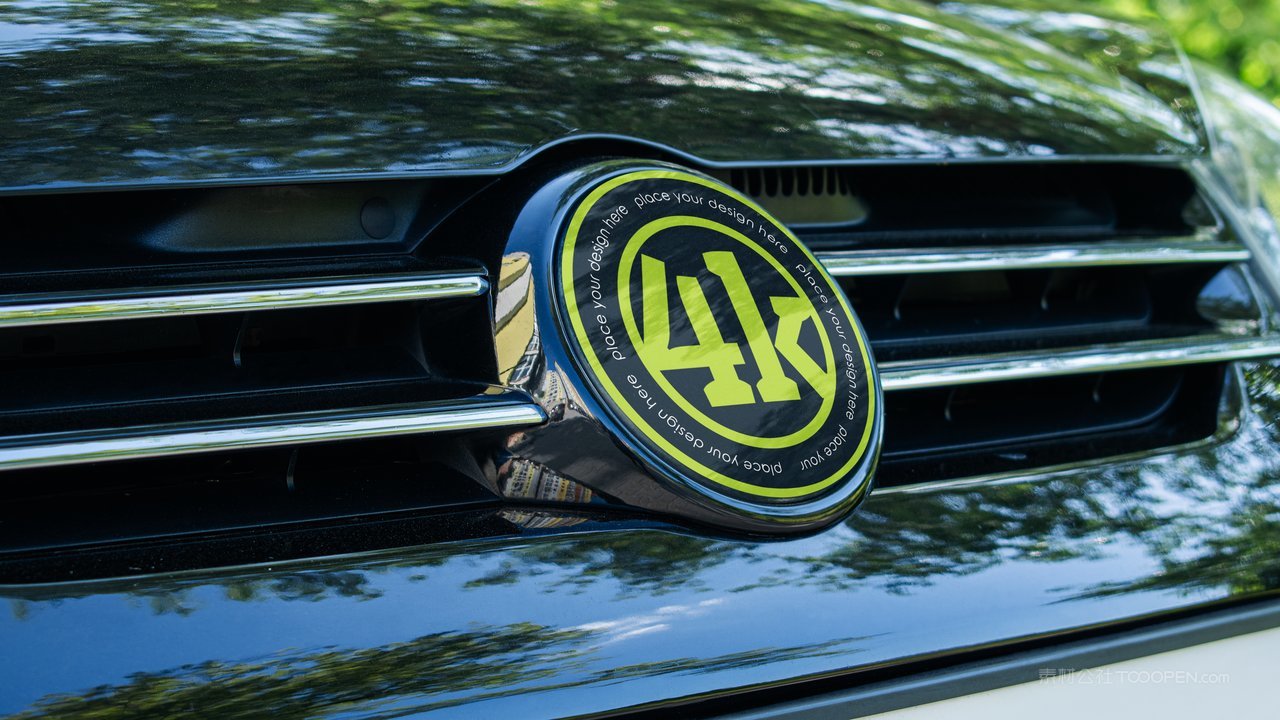 前格栅汽车标志样机