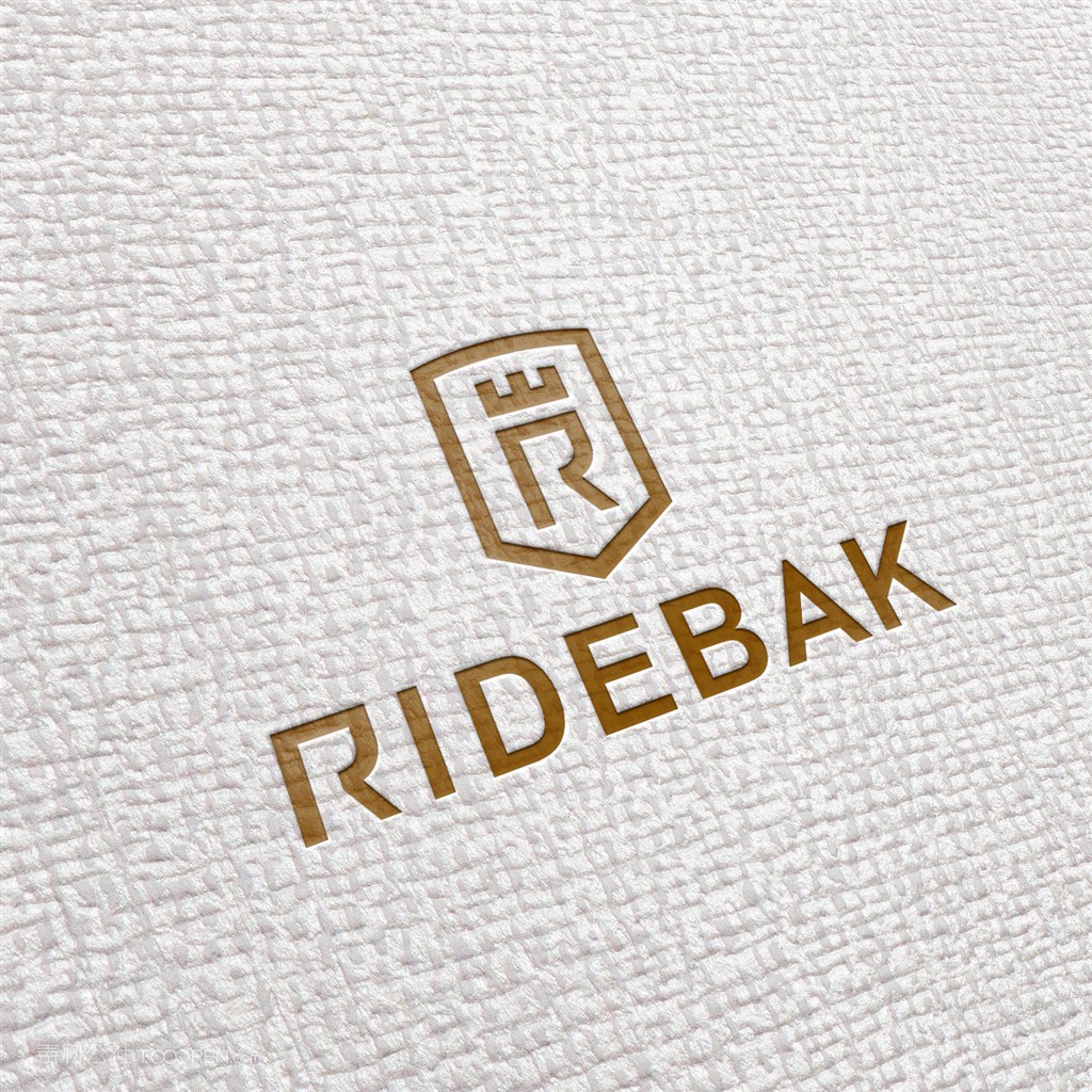 高档企业logo样机