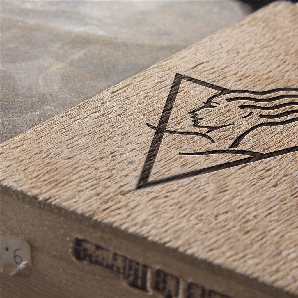 木纹肌理立体美女logo样机